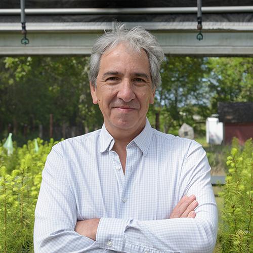 Link to profile for Carlos Gonzalez-Benecke